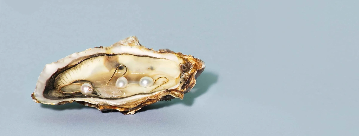 Oester oorbellen parel