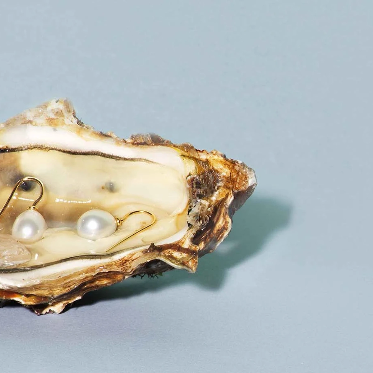 Oester oorbellen parel