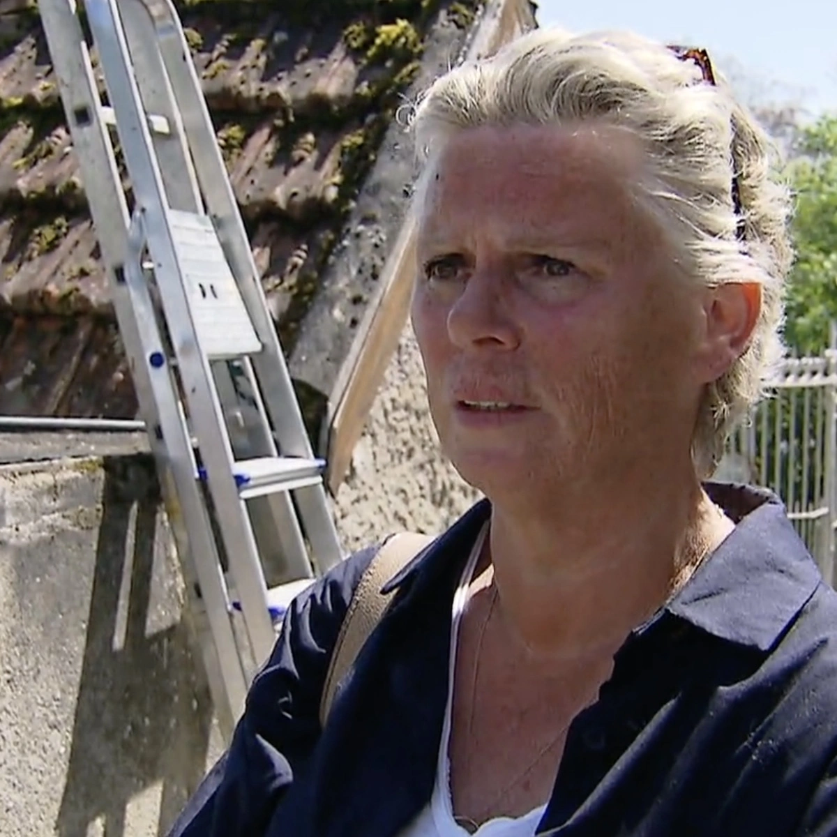 Header/hero - Petri - B&B Vol Liefde - boom - RTL