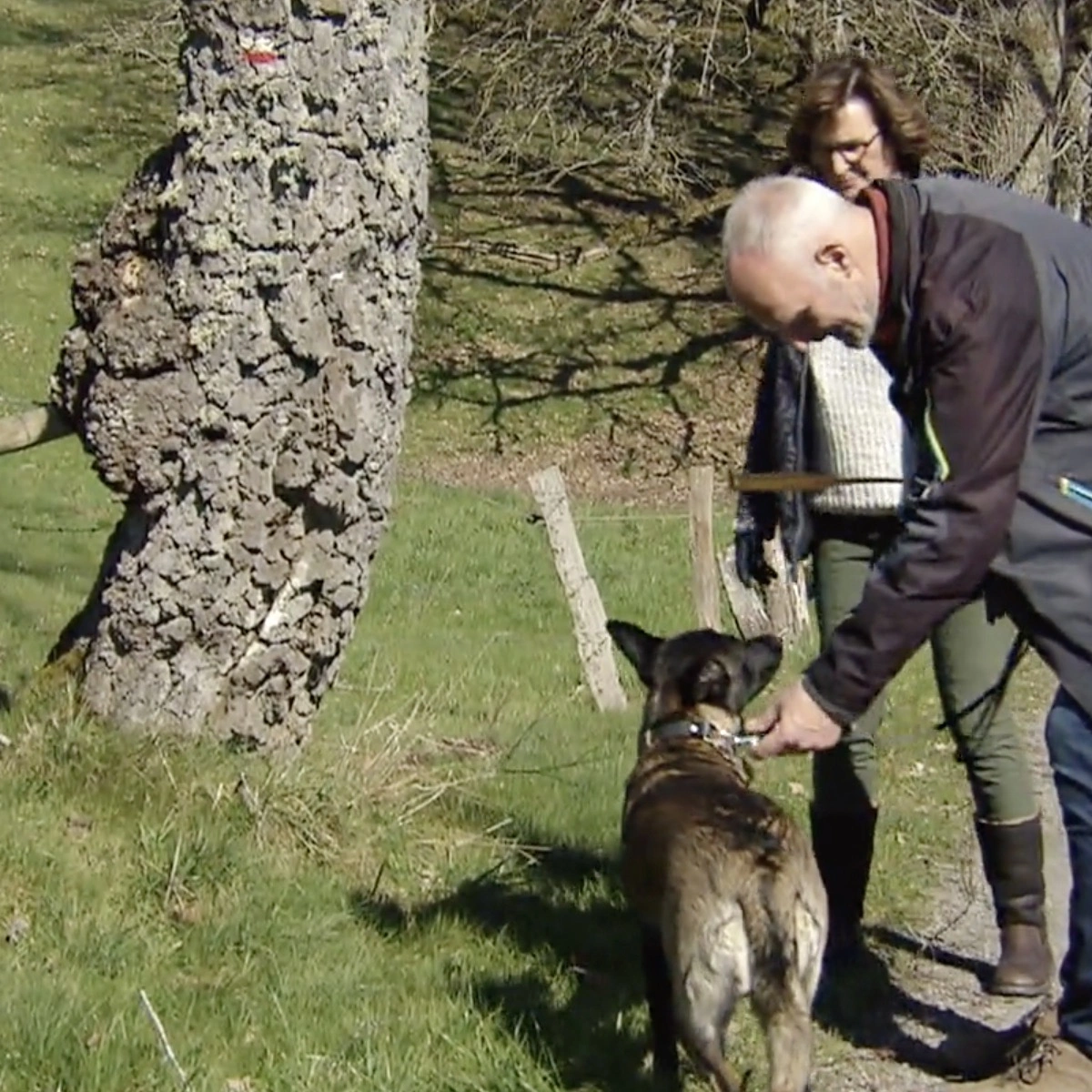 Header/hero - B&B Vol Liefde - Leendert - Loes - hond - RTL