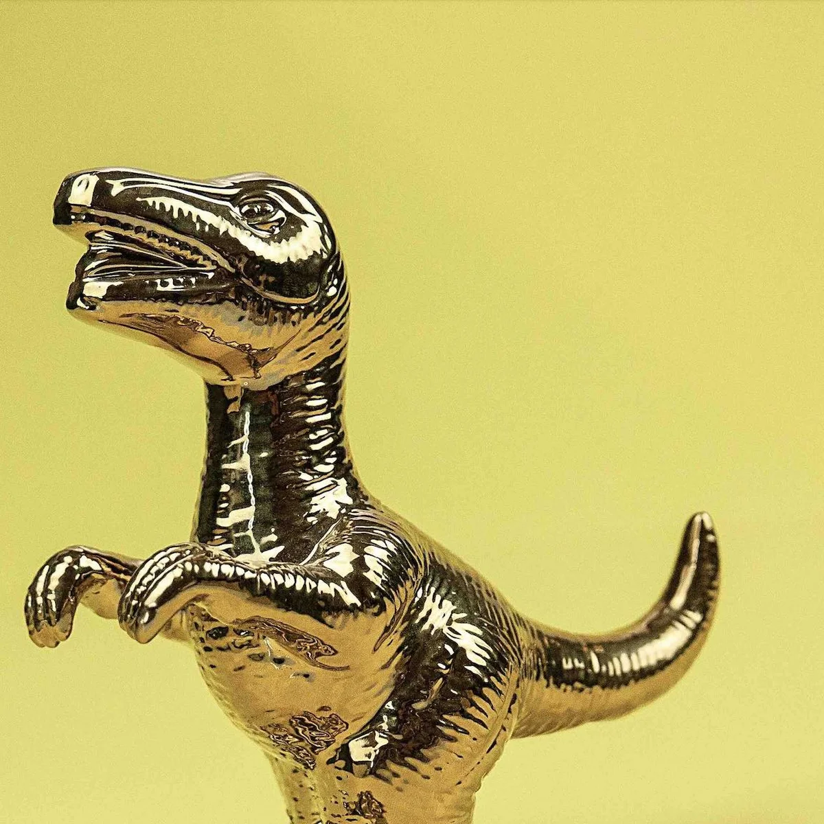 Dino, dinosaurus, dinosauriër, pexels