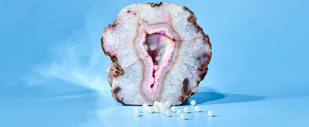 header - parel - seks - vagina - clit - steen - tom ten seldam