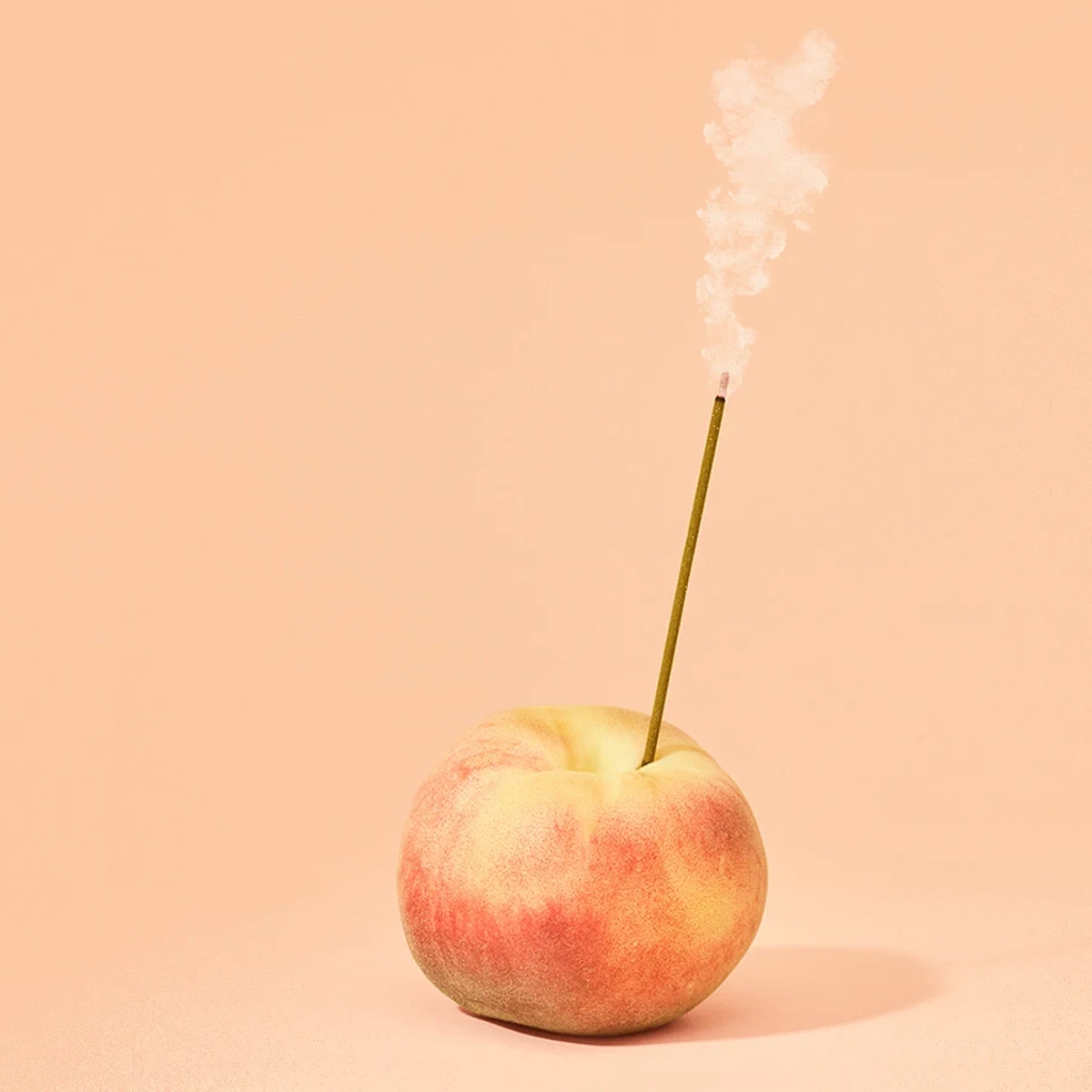 header - geur - geslachtsdeel - geurstokje - vagina - tom ten seldam