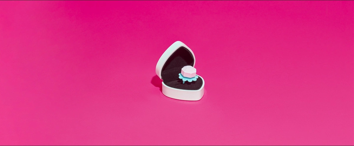 header - ring - Plan International - huwelijk - trouwen - tom ten seldam