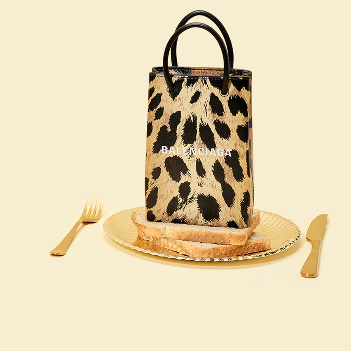 header - tasje - balenciaga - katten - frank brandwijk