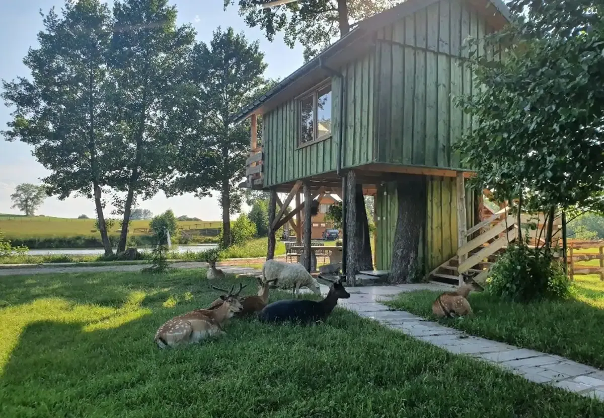 Airbnb #10