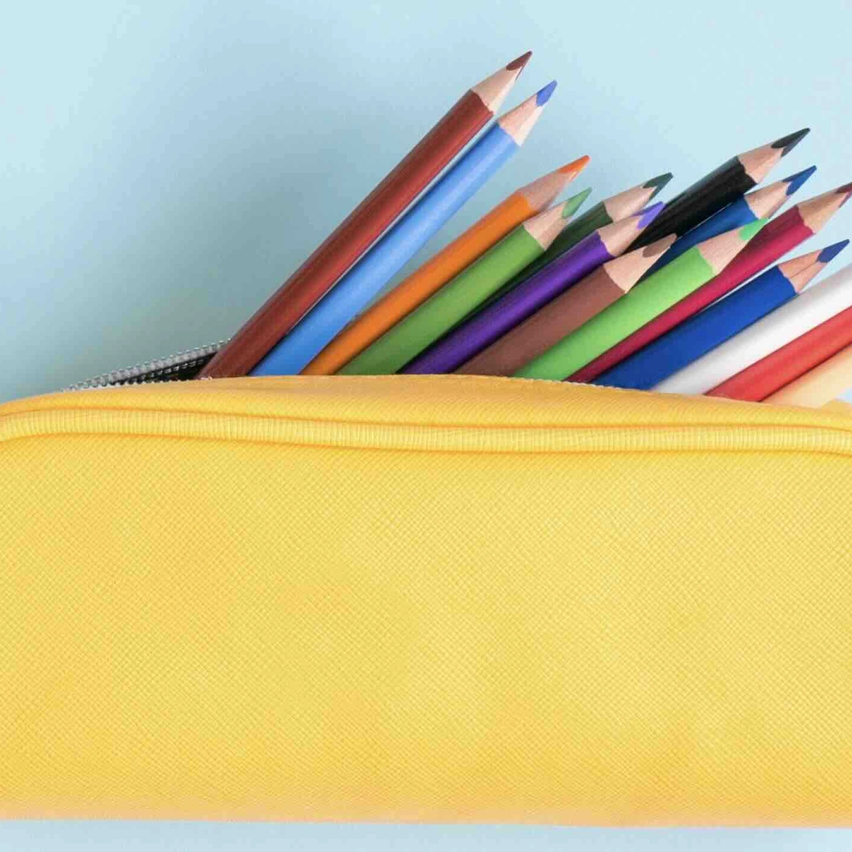 Header - potloden - kleuren - etui - Shutterstock