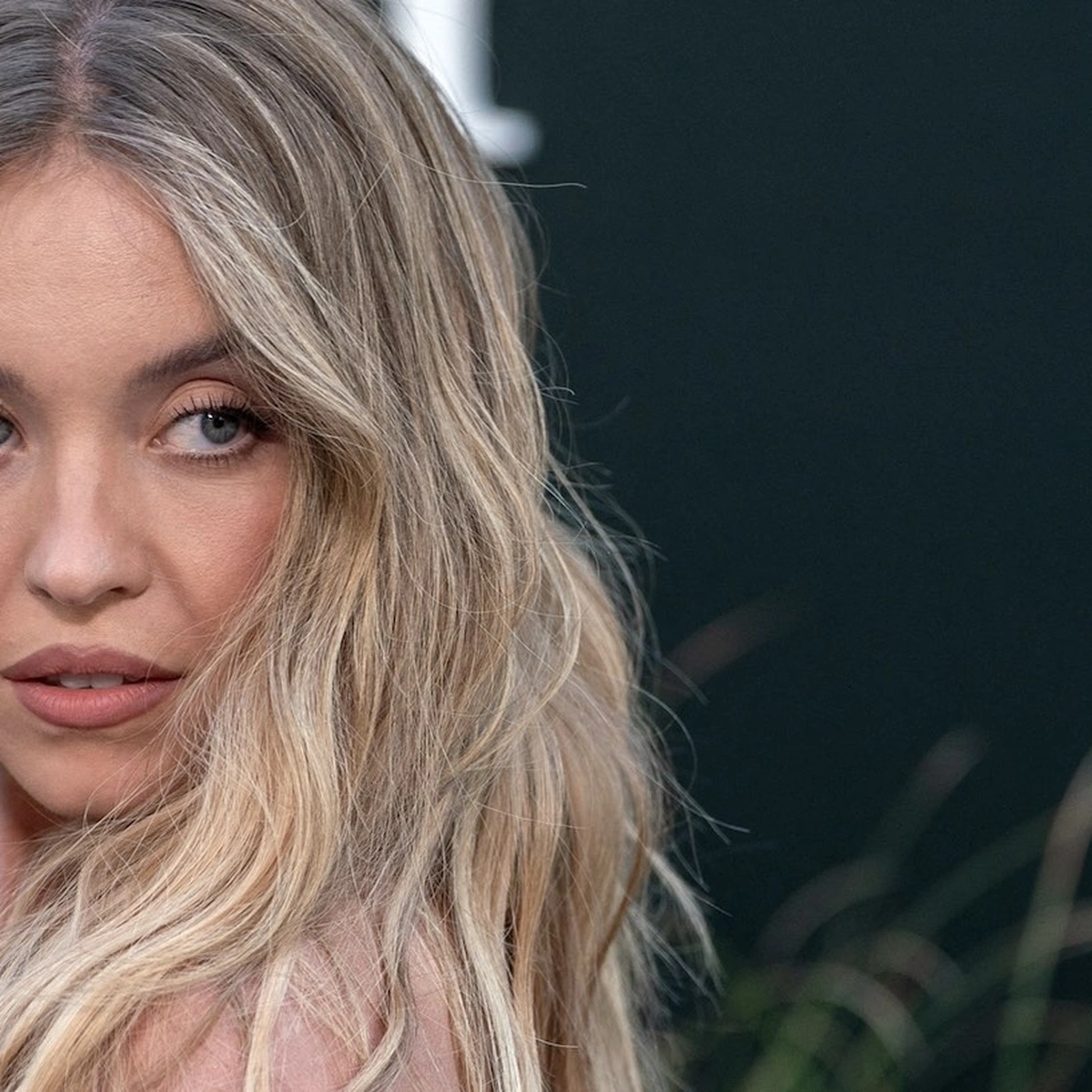 Header - sydney sweeney - anp