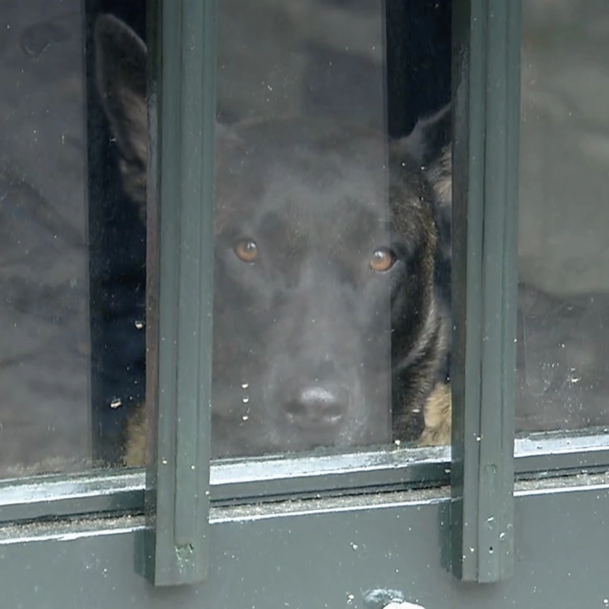 Header/hero - beeld - Noah - Leendert - B&B Vol Liefde