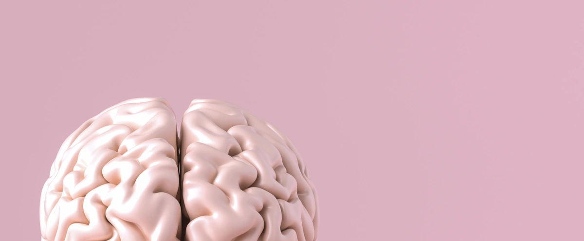 Hero - brein - hersenen - hoofd - psyche - roze - Shutterstock