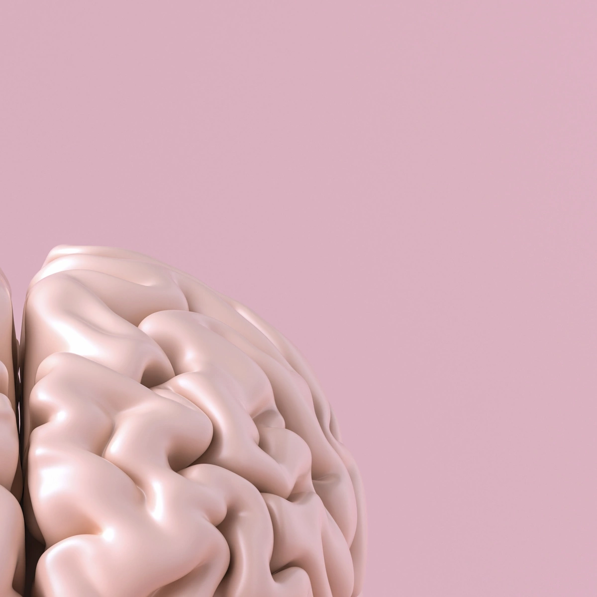 Hero - brein - hersenen - hoofd - psyche - roze - Shutterstock