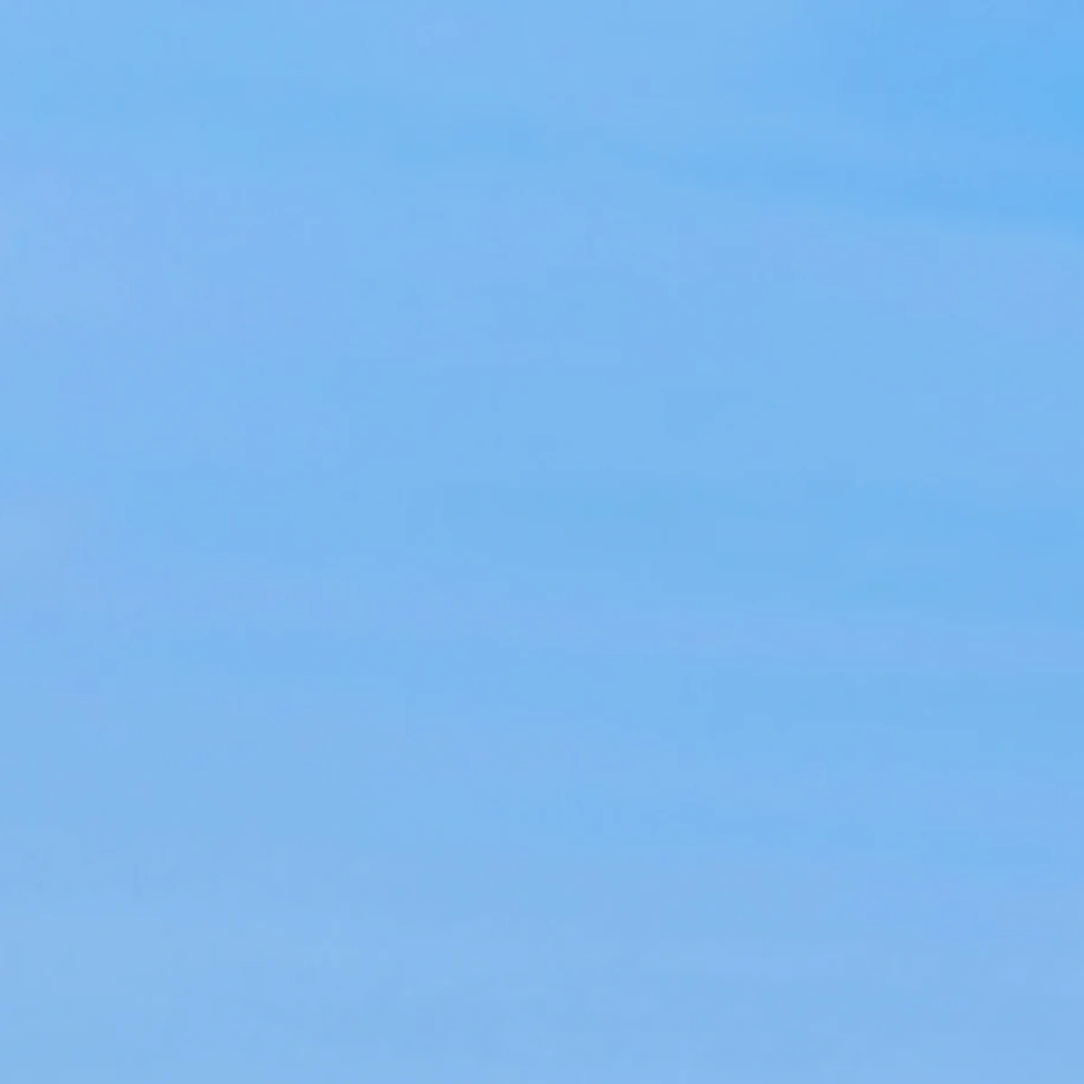 Festival reuzenrad feest Coachella - Freepik