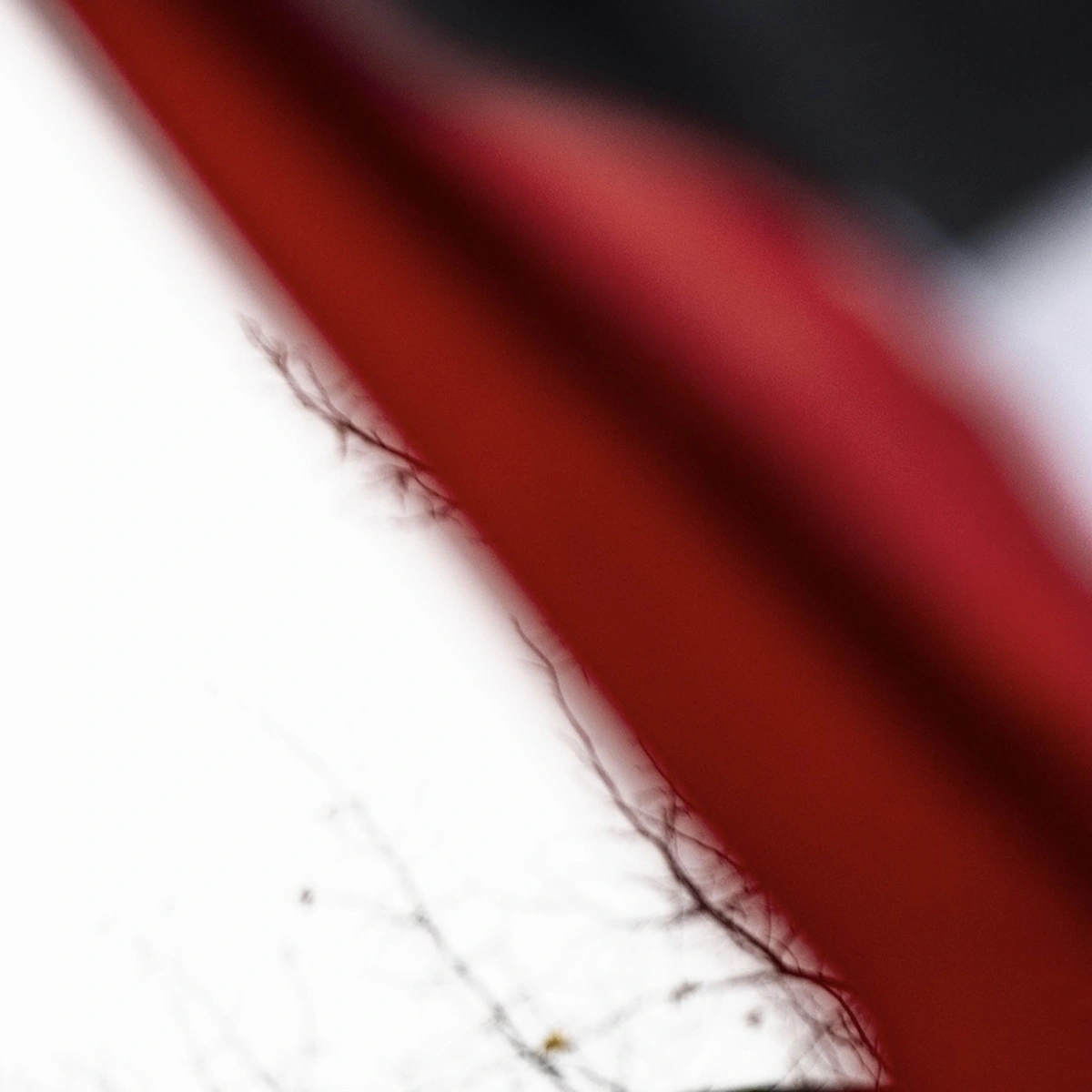 Header - anp - gaza - utrecht