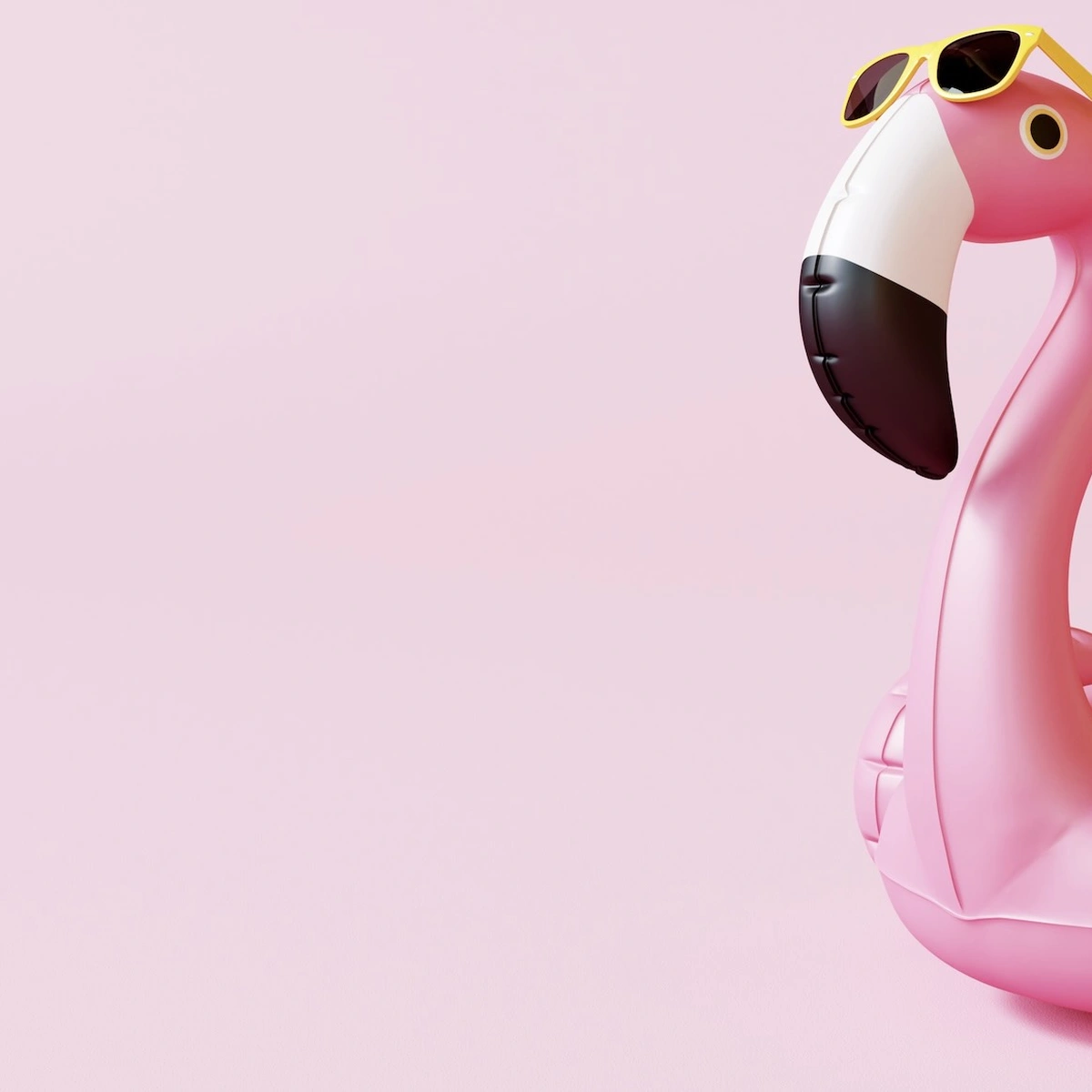 Header - zomer - flamingo - Shutterstock