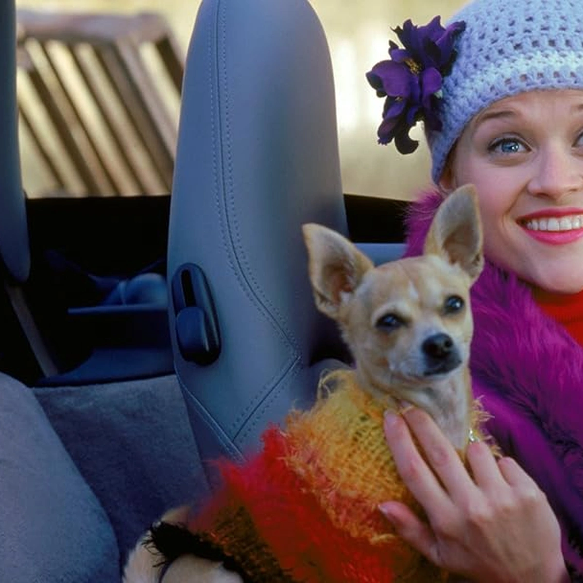 Legally Blonde - Elle Woods - Reese Witherspoon - Prime Video