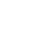 Visa payment