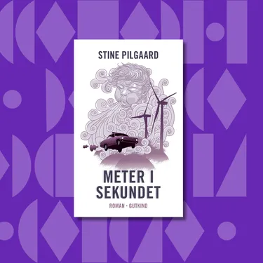 Billede af Meter i sekundet