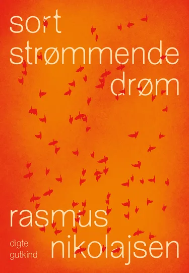 Cover af udgivelsen sort strømmende drøm