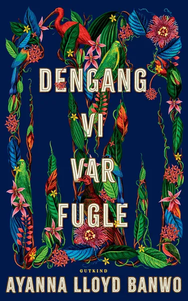 Cover af udgivelsen Dengang vi var fugle