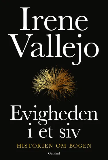 Cover af udgivelsen Evigheden i et siv