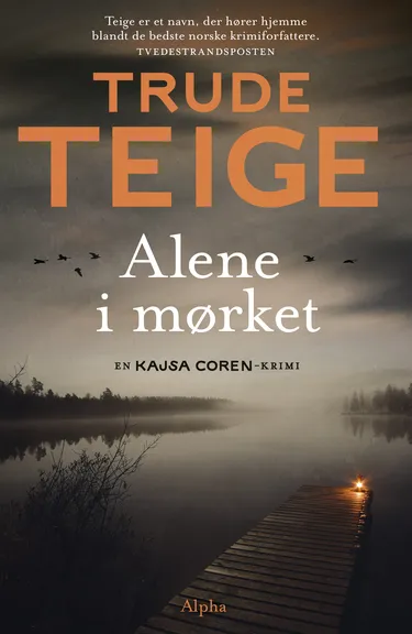 Cover af udgivelsen Alene i mørket