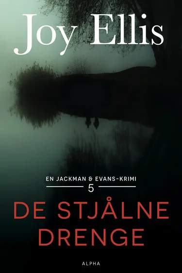 Cover af udgivelsen De stjålne drenge