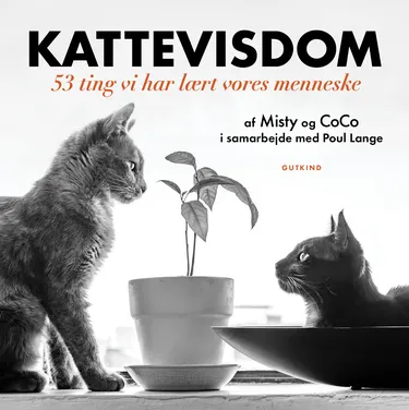 Cover af udgivelsen Kattevisdom