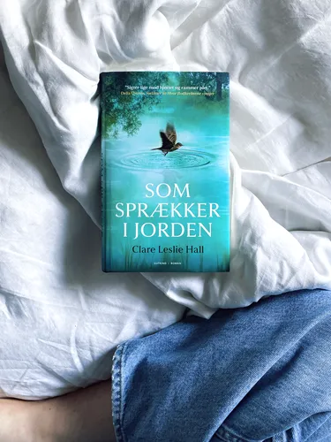 Som sprækker i jorden