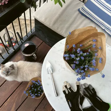 Skab en smuk altan året rundt