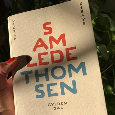 Billede af hovedpersonen