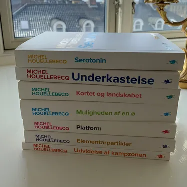 Billede af hovedpersonen