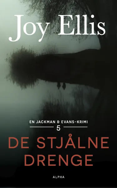 Cover af udgivelsen De stjålne drenge
