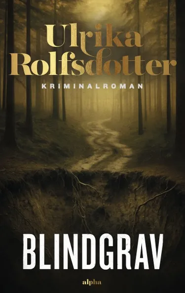 Cover af udgivelsen Blindgrav