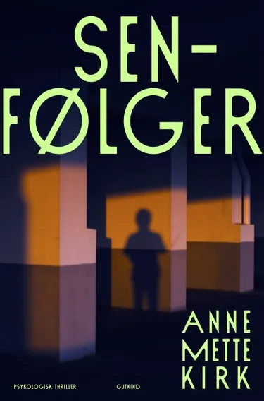 Cover af udgivelsen Senfølger