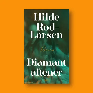 Billede af hovedpersonen