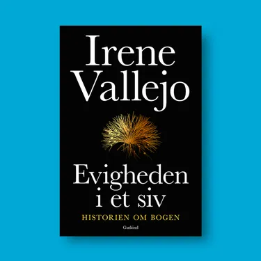 Billede af hovedpersonen