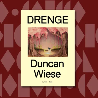 Billede af DRENGE