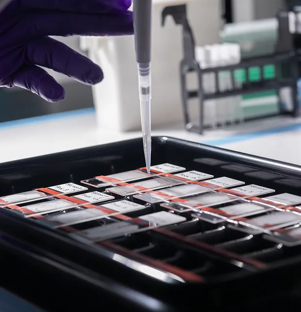 With Tissue Samples Already Supporting Active Research Projects