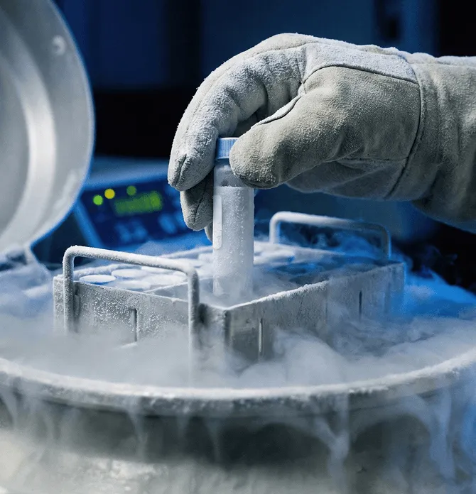 From research to real-world treatment