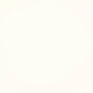 RAUVISIO Brilliant Noble Matt Capital Starlit front sample