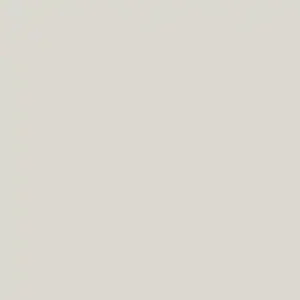 RAUVISIO Brilliant Noble Matt Silver Lake front sample