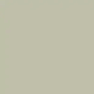 RAUVISIO Brilliant Noble Matt Mint Cloud front sample