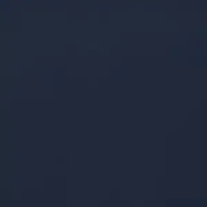 RAUVISIO Brilliant Noble Matt Midnight Dash front sample