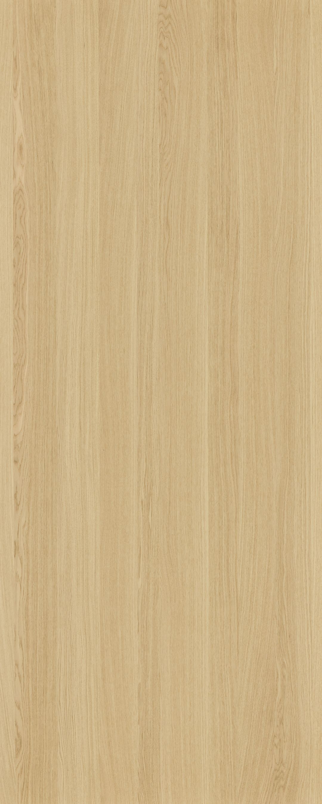 Shinnoki Ivory Oak veneer panel