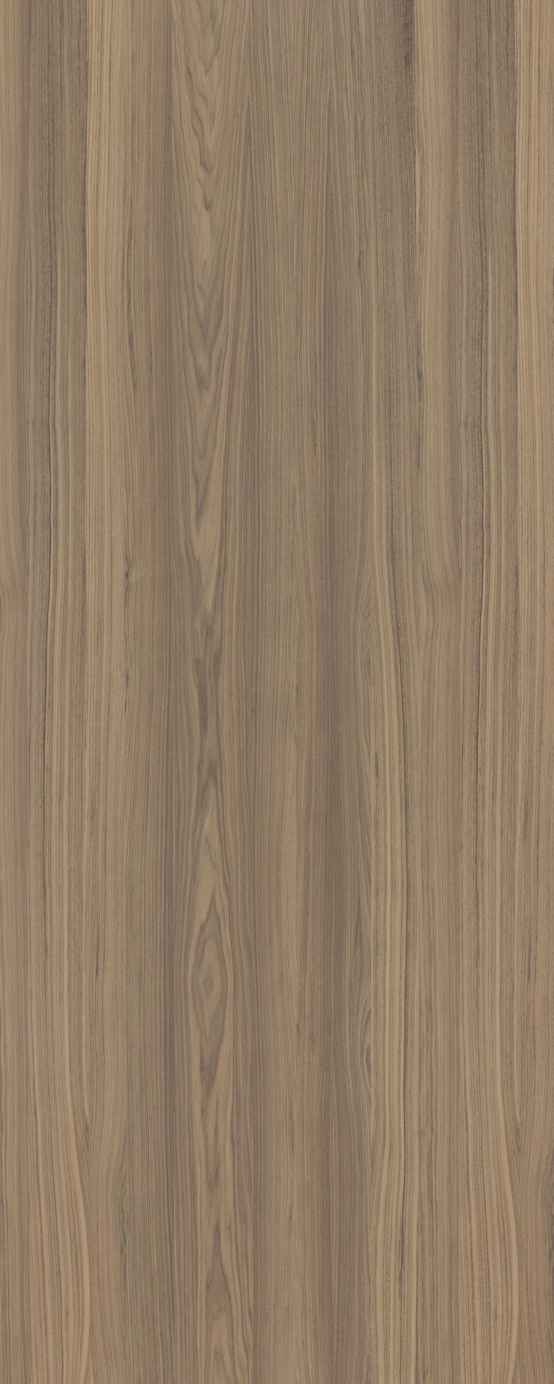 Shinnoki Frozen Walnut veneer panel