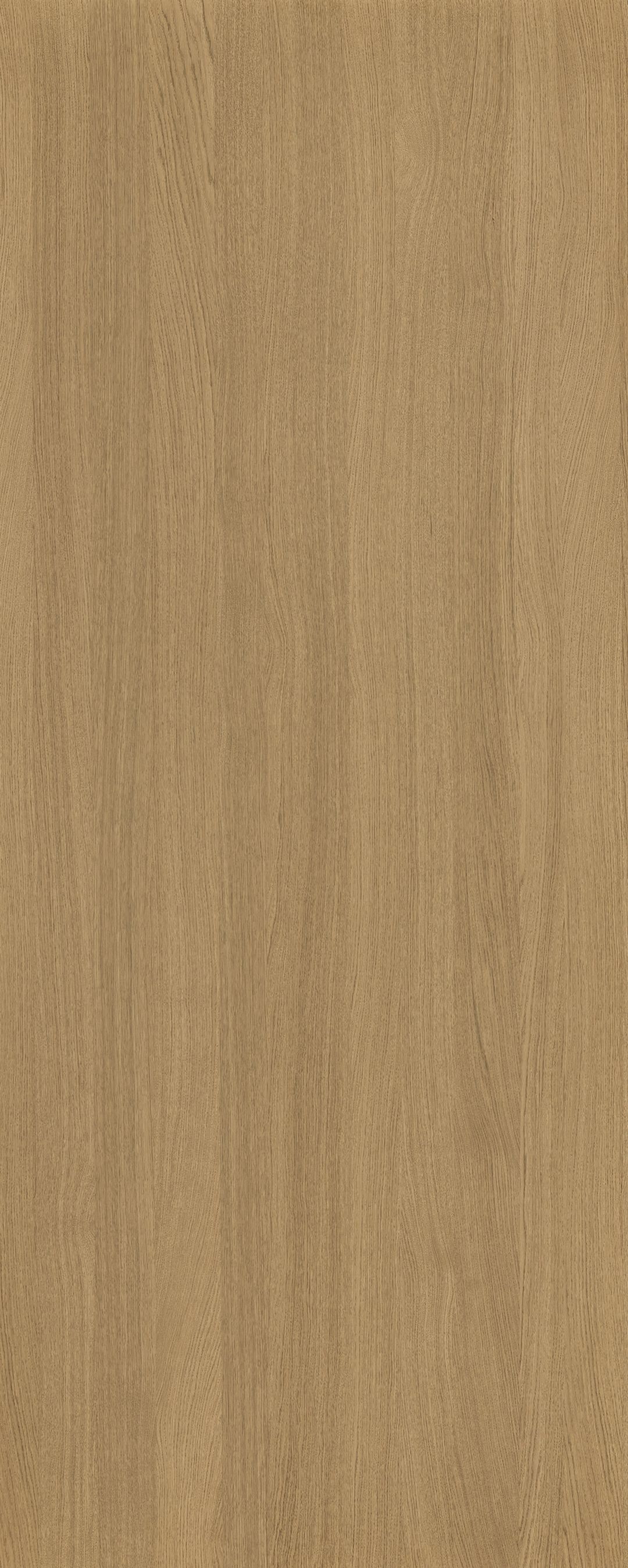 Shinnoki Sahara Oak veneer panel