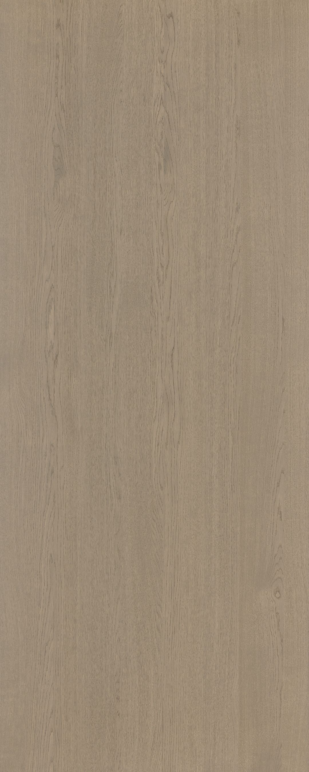 Shinnoki Manhattan Oak veneer panel