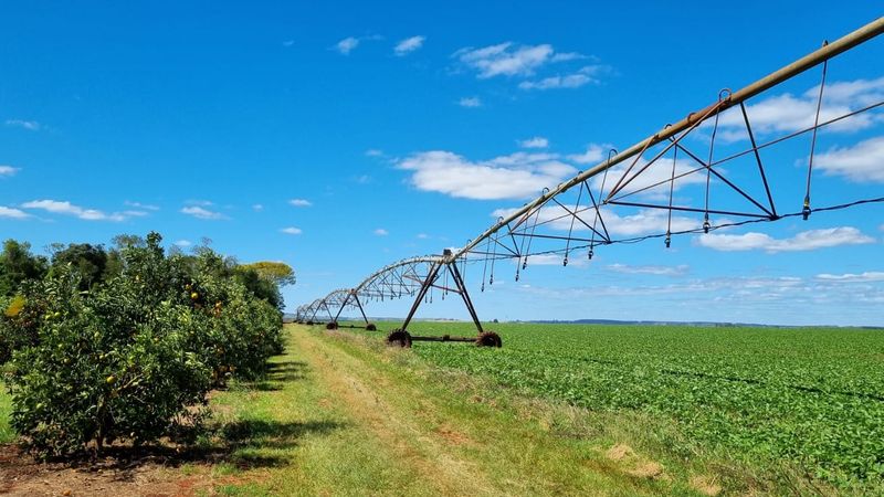 Close view of vineyard irrigation showing consistent water application along the row