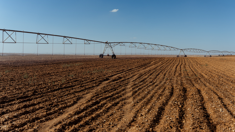Irrigation operating in desert-edge conditions with wind and heat