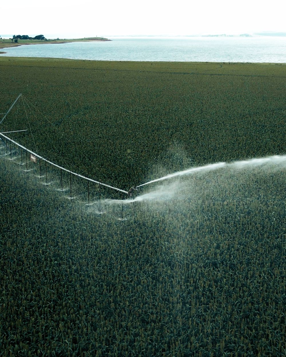 Twin Max product detail image showing body and construction